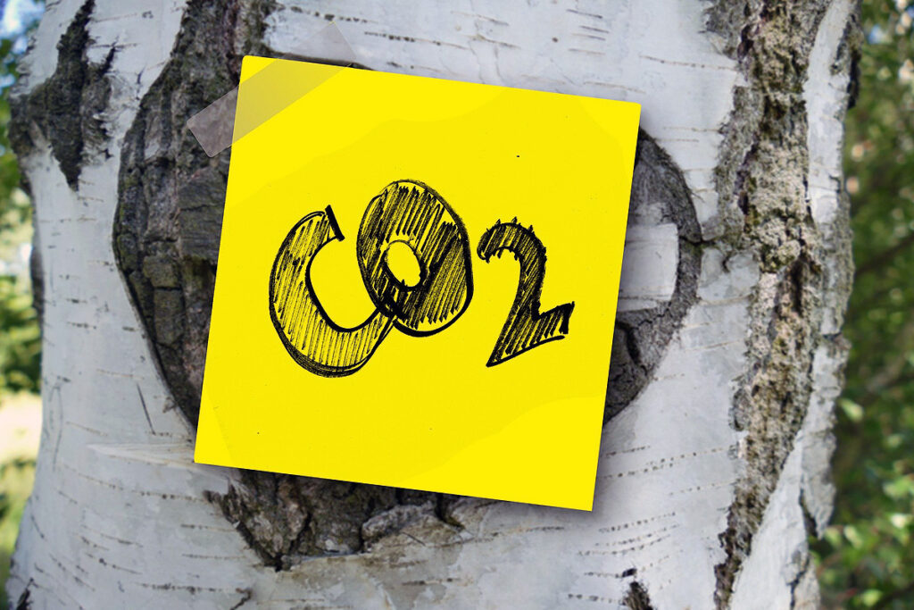 gelber Zettel mit der Aufschrift CO2 klebt auf einer Birke